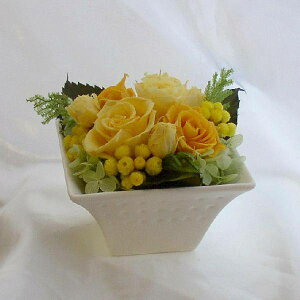 ̃AW-CG[̃o vU[uht[[PW]