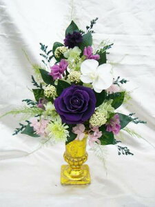 d_Î Ӓ vU[uht[[PW]