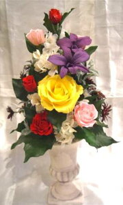 cl̂Oւ̂yYɁI Ԃŏ߂ăR[AW vU[uht[[PW]