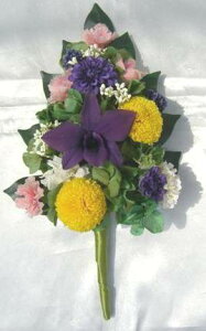 d_Î sNF̃J[l[VƎF̃ft@ vU[uht[[PW]