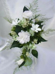 d_ÎAW H-J[l[ṼAW vU[uht[[PW]