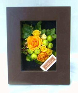 t[AWM VV[ IW̃õAW vU[uht[[PW]