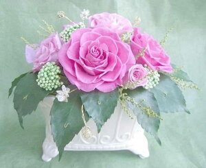 \p[Xg[Ɖԕ̃_up[ 4FIׂõvU[uht[[PW]