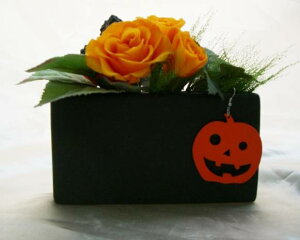 y20%OFFzyڂ̃sAXtzr^~J[KNnEBAW vU[uht[ [PW]