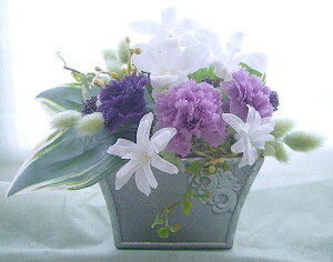 吳} J[l[Vƃft@̃AW vU[uht[[PW]