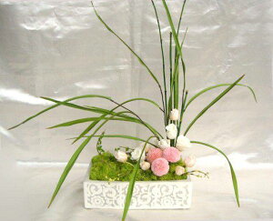 y50%OFFzaAW  vU[uht[[PW]