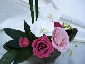 aAW a݌Ӓ vU[uht[[PW]