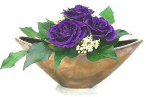 ȁM`Ԋ펇̃õAWvU[uht[[PW]