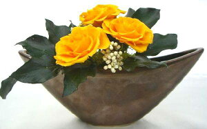 ȁM`Ԋ퉩FovU[uht[[PW]