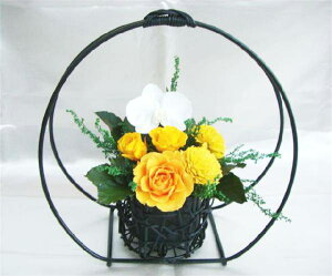 aAW -䏊ԌӒ- vU[uht[[PW]