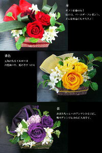 aAW -KOMON- vU[uht[[PW]