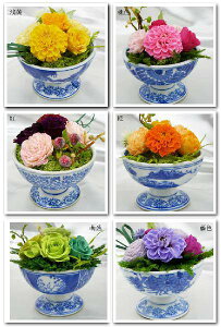 aAW -ۖ- vU[uht[[PW]