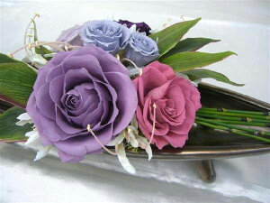 ae[uAW-- ̃õAW vU[uht[[PW]