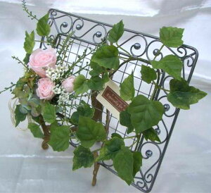 JWAC̃t[t[ sÑõAW vU[uht[[PW]