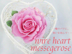 C[n[gbZ[W[Y vU[uht[[PW]