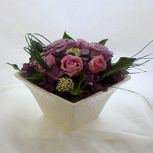 ̃AW-aya-̃õvU[uht[[PW]