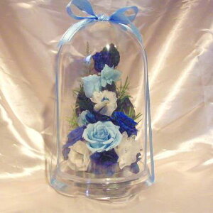 h[AW-G-blueo vU[uht[[PW]