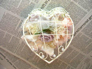 n[gC[oXPbg EJ[CbNsN vU[uht[[PW]