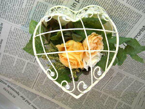 n[gC[oXPbg IW vU[uht[[PW]