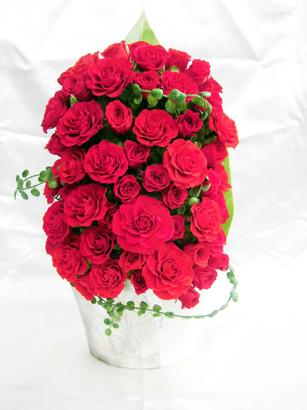 プリザーブドフラワーとは 美しく枯れない生花 花職人さんの手組 ６０本の赤いバラ ＲＥＤ ＲＯＳＥ/プリザーブドフラワー[PW]