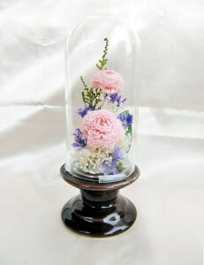 KX P[X    F _A /vU[uht[[PW]