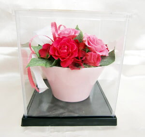  nbs[ u[P sN o AWvU[uht[[PW]