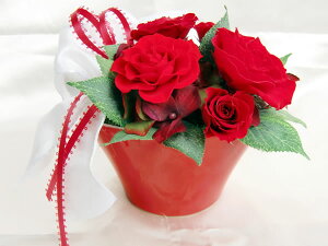  nbs[ u[P bh  o AWvU[uht[[PW]