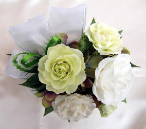  nbs[ u[P zCg  o AWvU[uht[[PW]