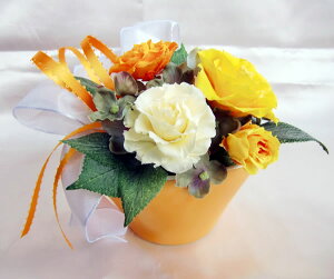  nbs[ u[P CG[ F o AWvU[uht[[PW]