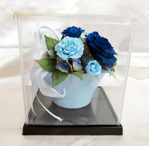  nbs[ u[P u[  o AWvU[uht[[PW]