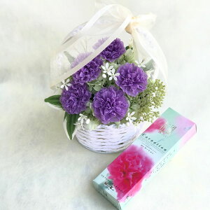 F_[F̃J[l[VAW vU[uht[Ɠ{̌O荂̃Zbg[PW]