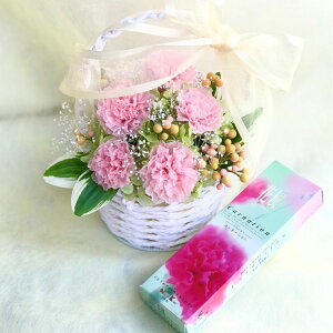 ȃsNF̃J[l[VAW vU[uht[Ɠ{̌O荂̃Zbg[PW]