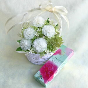 ̃J[l[VAW vU[uht[Ɠ{̌O荂̃Zbg [PW]