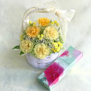 邢F̃J[l[VAW vU[uht[Ɠ{̌O荂̃Zbg[PW]