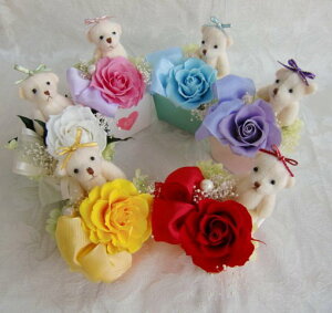 li荠N}ƕJ[nbs[xA[ vU[uht[ ԁ@o AW 6FIׂ܂[PW]