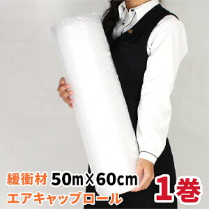 GA[Lbv [ 600mm×10M 1 {ɏՍ 10m GALbv ɏՍ p GAɏՍ H یp GAZ}bg (2029)