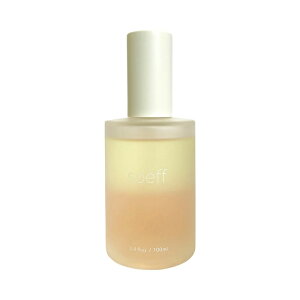 soeff \t ICCZ ؍҂̍ 100mL wAIC@LNZC