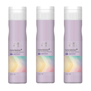 y3ZbgzEG J[[V{ J[Vv[ AWXg 250ml@×3