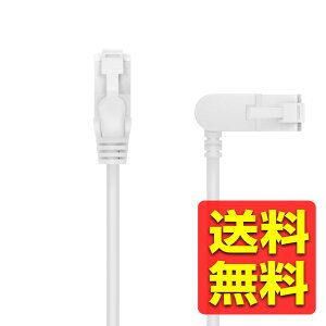 LANP[u CAT6A  1m X XCORlN^  10Gbps Xg[g ܐ܂h~ C[TlbgP[u RJ45 zCg LD-GPATSW/WH10 / ELECOM GR yz