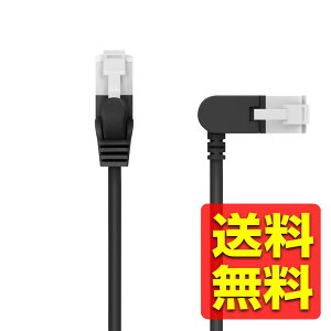 LANP[u CAT6A  1m X XCORlN^  10Gbps Xg[g ܐ܂h~ C[TlbgP[u RJ45 ubN LD-GPATSW/BK10 / ELECOM GR yz