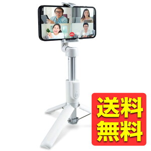 B_ Or 2way CXRt Bluetooth X}zp \ zCg P-STSR02WH / ELECOM GR yz