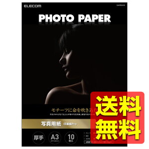 v^[p ʐ^p A3 10  掆 ŏ㋉O[h  CNWFbgp zCg EJK-PROA310 / ELECOM GR yz