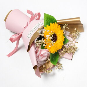 tOX\[vt[ ԑ 񂰑ܕt Ђ܂ o u[P \[vt[ ͂Ȃ   Ό v[g Mtg a 蕨 LO ސEj ʉ wj 