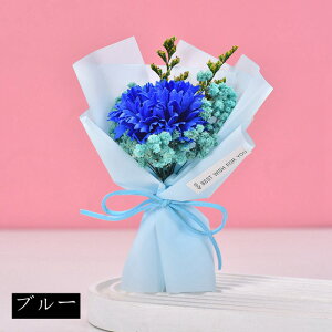 J[l[V ~ju[P ̓v[g \[vt[ ~jԑ \[vt[ ͂Ȃ   Ό v[g Mtg a 蕨 LO ސEj ʉ j 