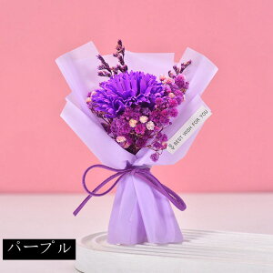 J[l[V ~ju[P ̓v[g \[vt[ ~jԑ \[vt[ ͂Ȃ   Ό v[g Mtg a 蕨 LO ސEj ʉ j 