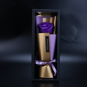 \[vt[ ~ju[P o {bNX tOX ԑ 1 ͂Ȃ   Ό v[g Mtg ̓ a 蕨 LO o^C ސEj ʉ j