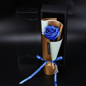 \[vt[ ~ju[P o {bNX tOX ԑ 1 ͂Ȃ   Ό v[g Mtg ̓ a 蕨 LO o^C ސEj ʉ j