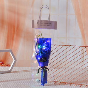 LEDCgt \[vt[ J[l[V ͂Ȃ ԑ 3 LED C~l[VCg tOX u[P   Ό v[g Mtg ̓ a 蕨 LO o