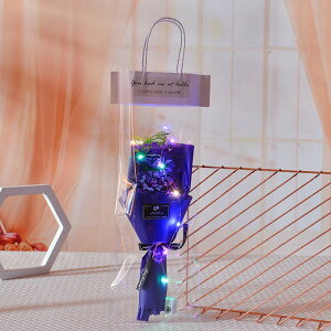 LEDCgt \[vt[ J[l[V ͂Ȃ ԑ 3 LED C~l[VCg tOX u[P   Ό v[g Mtg ̓ a 蕨 LO o