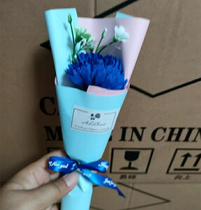 \[vt[ ~ju[P ͂Ȃ tOX ԑ o J[l[V 1   Ό v[g Mtg ̓ a 蕨 LO o^C ސEj ʉ 